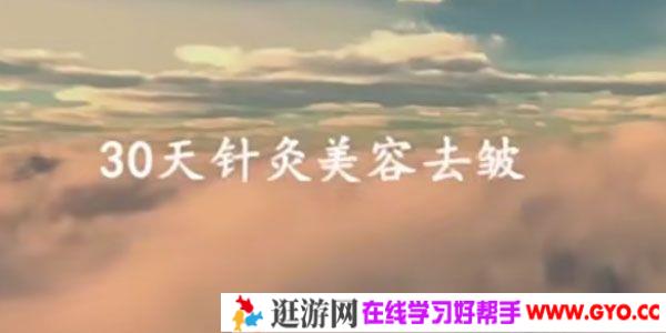 30天针灸美容美雕针面针课程