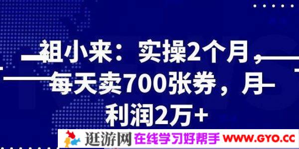 祖小来赚钱项目：实操2个月每天卖700张券，月利润2万+