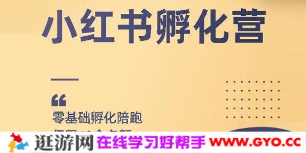勇哥小红书撸金快速起量项目：快速起号 月躺赚在3000+