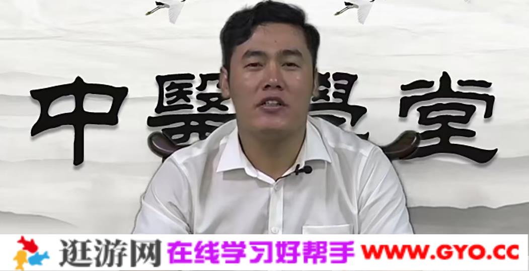 魏朝军针灸学 耳聋耳鸣颈肩疼痛