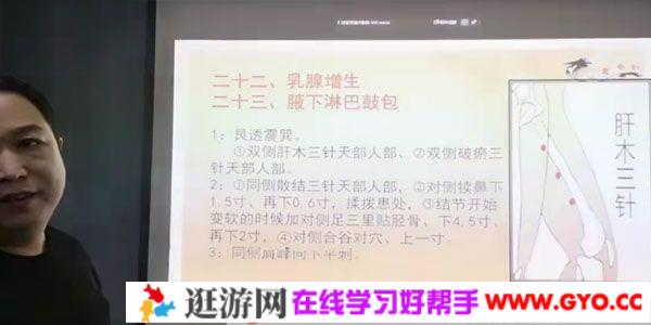 刘涛《心意奇针三天针灸课程》